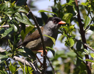 g5/82/894582/3/118737962.4SX7PIY1.jpg