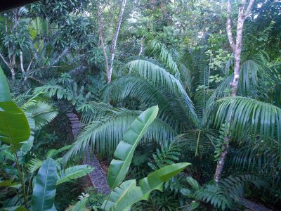 La Paloma