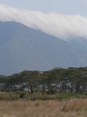 mist over Ngorongoro Crater