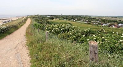 zoutelande_2009-06-15_100.jpg