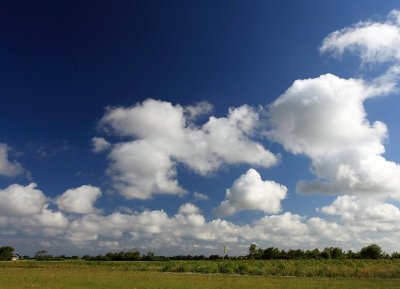 zoutelande_2009-06-18_004.jpg