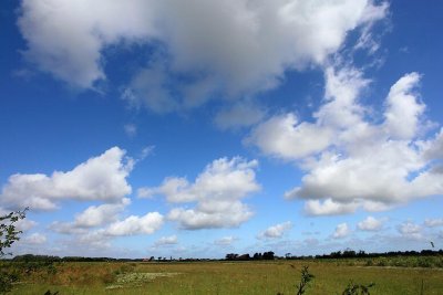 zoutelande_2009-06-19_005.jpg