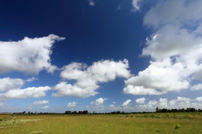 zoutelande_2009-06-19_006.jpg