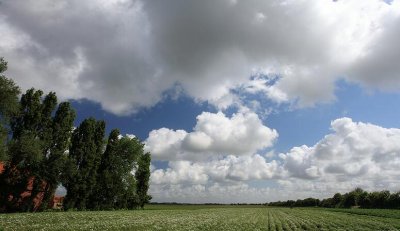 zoutelande_2009-06-19_014.jpg