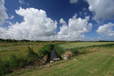 zoutelande_2009-06-19_017.jpg