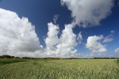 zoutelande_2009-06-19_018.jpg