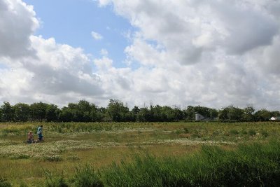 zoutelande_2009-06-19_022.jpg