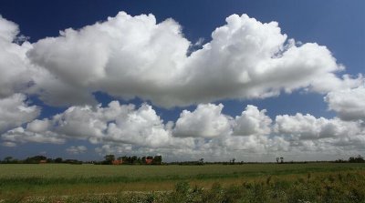 zoutelande_2009-06-19_034.jpg