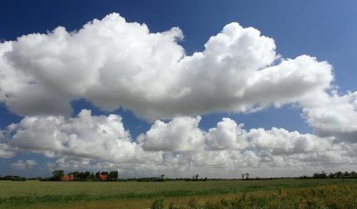 zoutelande_2009-06-19_035.jpg