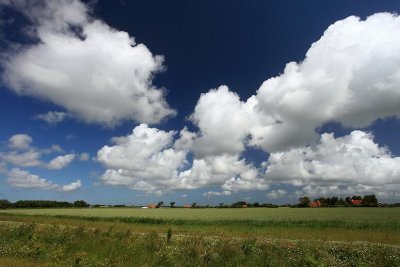 zoutelande_2009-06-19_036.jpg