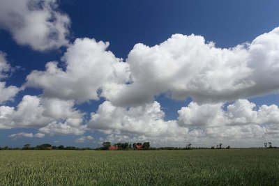 zoutelande_2009-06-19_039.jpg