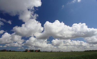 zoutelande_2009-06-19_041.jpg