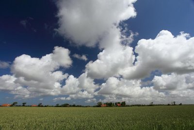 zoutelande_2009-06-19_042.jpg