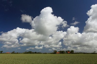 zoutelande_2009-06-19_046.jpg