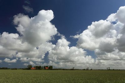 zoutelande_2009-06-19_048.jpg