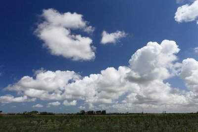 zoutelande_2009-06-19_049.jpg