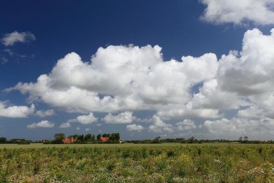 zoutelande_2009-06-19_050.jpg