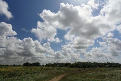 zoutelande_2009-06-19_051.jpg