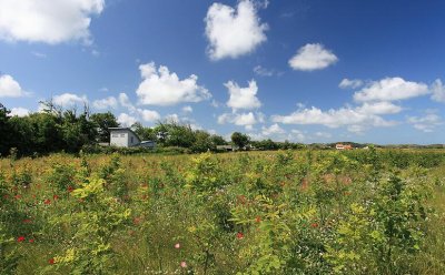 zoutelande_2009-06-19_059.jpg