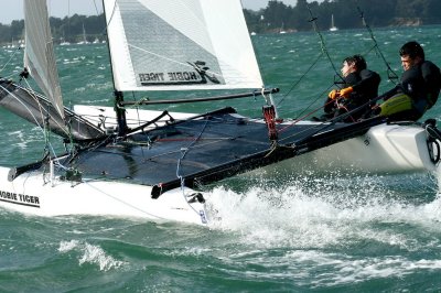 CATAGOLFE 2006