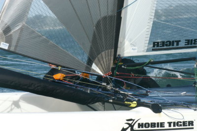 CATAGOLFE 2006
