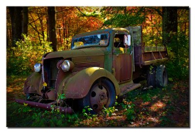 Old Truck in Woods