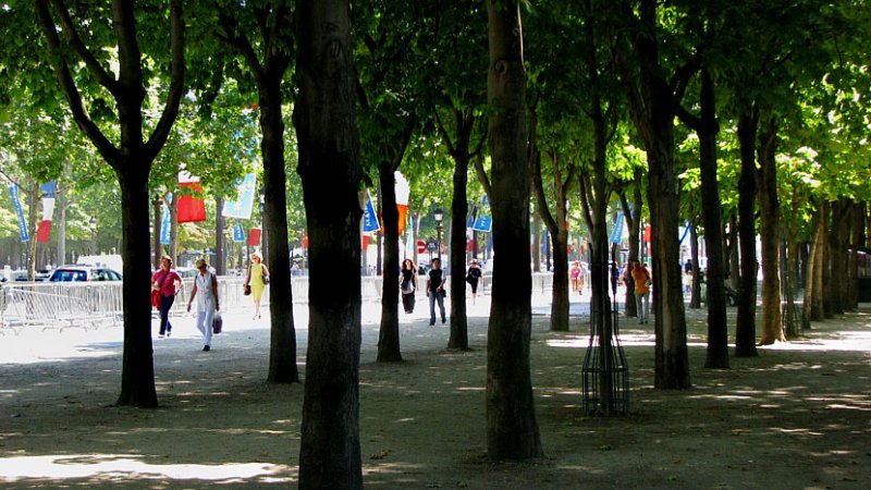 l'allée des Champs Élysées