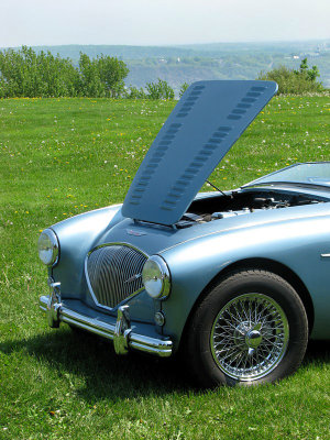  Austin Healey  100Z