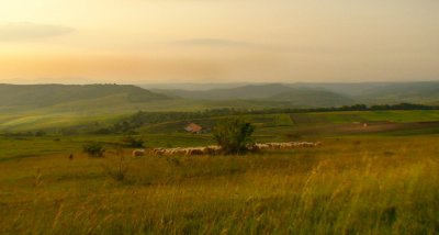Campagne à perte de vu (Roumanie)