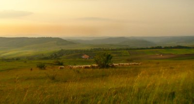 Campagne  perte de vu (Roumanie)