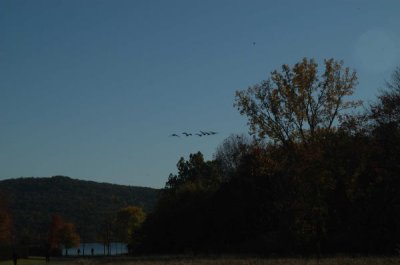 ir-20081023_15.jpg