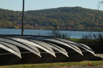 ir-20081023_20.jpg