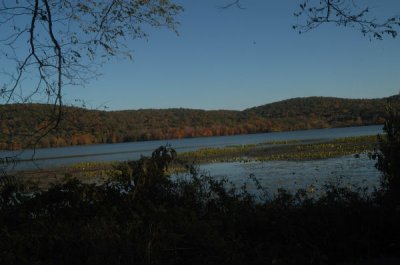 ir-20081023_40.jpg