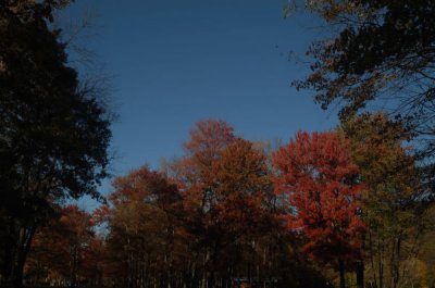 ir-20081023_47.jpg