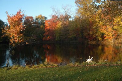 ir-20081023_71.jpg
