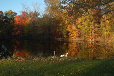ir-20081023_73.jpg