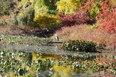 ir-DSC_0164.jpg
