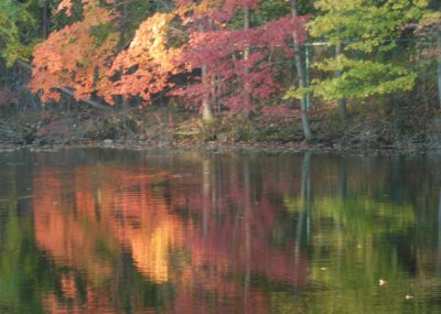 ir-DSC_0067_5x7L.jpg