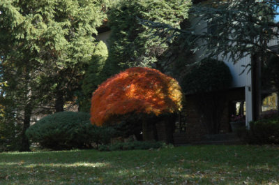 ir-091026_12-11_0015.jpg