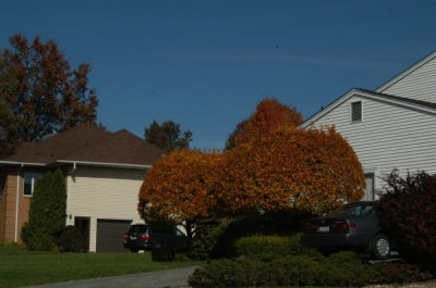 ir-091026_12-14_0018.jpg