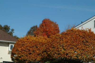 ir-091026_12-16_0019.jpg