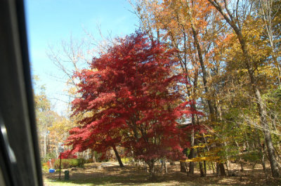 ir-091026_12-46_0029.jpg