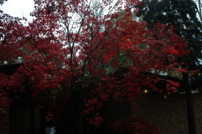 ir-091028_14-24_0008.jpg