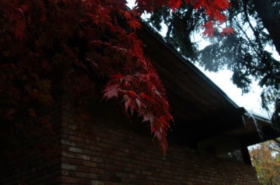 ir-091028_14-25_0012.jpg