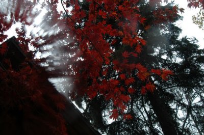 ir-091028_14-25_0013.jpg