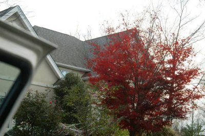 ir-091102_17-03_0042.jpg