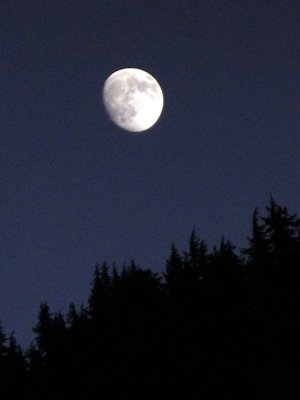 Moon Rise from Trail Gulch Lake