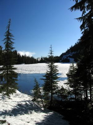 View from south end of lake