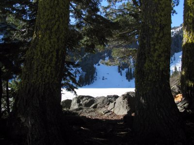 Framed view of lake