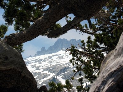 Twin pines frame Sawtooth Peak